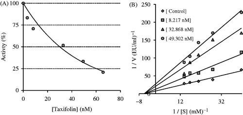 Figure 3. Determination of the half maximal inhibitory concentration (IC50) value (A) and inhibition constant (Ki) value (B) of taxifolin for acetylcholinesterase enzyme (AChE) by using a Lineweaver–Burk graph.