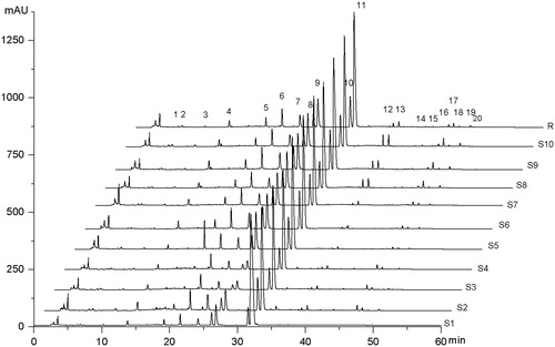 Figure 4. Fingerprint chromatograms of 10 batches of ZJP samples which consisted of herbal drugs collected from different places and production methods. Sample Nos S1–S10 are ZJ tablet (Batch No. 20071101), ZJ capsule (Batch No. 080728), ZJ Pill (Batch No. 081001, No. 090501), C1E1, C2E1, C3E1, C1E2, C2E2, C3E2, respectively; R (representative standard fingerprint/mean fingerprint generated by Similarity Evaluation System for Chromatographic Fingerprint of TCM).