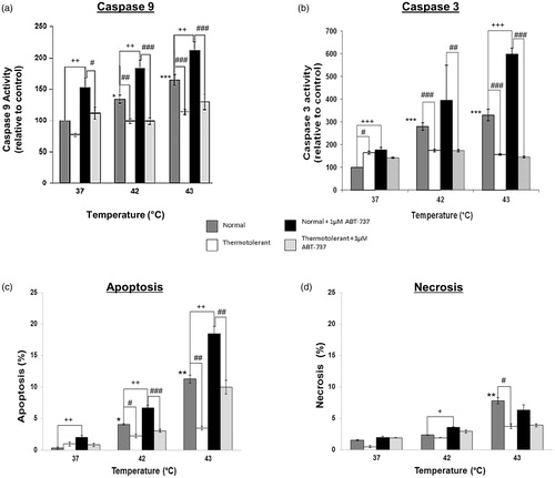 Figure 5. Bcl-2 inhibitor ATB-737 enhances hyperthermia-induced apoptosis: protective role of mild thermotolerance (40 °C). Relative activities of caspase-9 (a) and caspase-3 (b), and levels of apoptosis (c) and (d) necrosis in thermotolerant (3 h at 40 °C) and non-thermotolerant (3 h at 37 °C) cells, with or without pretreatment with ABT-737 (1 µM). Means ± SEM are from at least three independent experiments. For significant differences between heated (42–43 °C) cells and the non-thermotolerant control (37 °C), p < 0.05 (*), p < 0.001 (**). For significant differences between thermotolerant and non-thermotolerant cells at each temperature, p < 0.05 (#), p < 0.001 (##). For cells with or without ABT-737, p < 0.05 (+), p < 0.01 (++), p < 0.001 (+++).