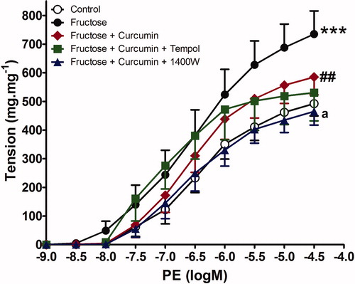 Figure 2. Effect of curcumin alone (1 µM) or in combination with tempol (1 mM) or 1400 W (1 µM) on fructose-treated isolated rat aorta responsiveness to phenylephrine (PE). Symbols indicate mean ± SEM for n = 6–10 aortic rings; ***p < 0.001, compared with the corresponding control group values; ##p < 0.001 compared with the corresponding fructose group values; ap < 0.01 compared with curcumin group values.