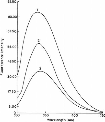 Figure 5 Fluorescence spectra of free and immobilized trypsin. The fluorescence emission spectra of immobilized (conjugate A, curve 1; conjugate B, curve 2) and free trypsin (curve 3) were recorded on a Shimadzu RF-5000 spectrofluorophotometer with a band width of 5 nm and 1 cm path length (at an excitation wavelength of 284 nm). The amount of protein was 12.6 µg in all the cases.