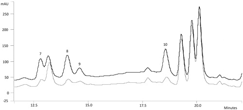 Figure 2. Derivatized fraction 3 of infusion and standard amino acids + fraction 3 overlapped chromatograms by using SS2 enlargement. 7. Ser (RT = 12.78), 8. Gln (RT = 14.00), 9. Gly (RT = 14.55), 10. Asn (RT = 18.55).
