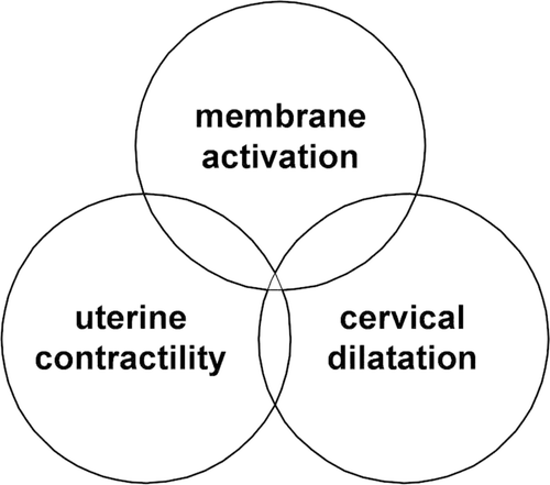 Figure 1. The common pathway of term and preterm parturition. Reproduced with permission from reference 2.
