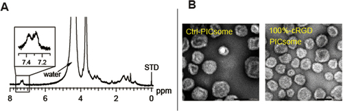 Figure 2. Characterization of the cRGD-PICsomes. (A) 1H NMR spectrum of a cRGD-conjugated PICsome (400 MHz, D2O, 80 °C), (B) a TEM image of uranyl acetate staining (scale bar, 100 nm).