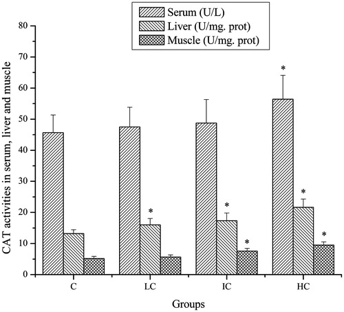 Figure 4. Effects of CSP on CAT activities in serum, liver and muscle of mice. Data are expressed as mean ± SD. CSP: polysaccharides from Cordyceps sinensis; C: control; LC: low-dose CSP treated (100 mg/kg); IC: intermediate-dose CSP treated (200 mg/kg); HC: high-dose CSP treated (400 mg/kg). *, p < 0.05 compared with C group.