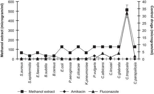 Figure 1.  Minimal inhibitory concentration (MIC) values of methanol extract of P. alkekengi.