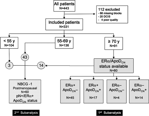Figure 1.  Flowsheet over patients included in the present paper. The 1st sub-analysis was done to evaluate a possible role of ApoDCN co-expression with ERα in the elderly patients ≥ 70 years. The 2nd sub-analysis evaluated the potential influence of ApoDCN status on the predictive effect of tamoxifen in the ERα positive postmenopausal patients with node positive disease included in the NBCG-1 trial [13]. DCIS, ductal carcinoma in situ; y, years; ERα, estrogen receptor alfa; ApoDCN, Combined cytoplasmic and nuclear ApoD staining; pN+, node positive; NBCG-1, Norwegian Breast Cancer Group adjuvant study # 1 [13].