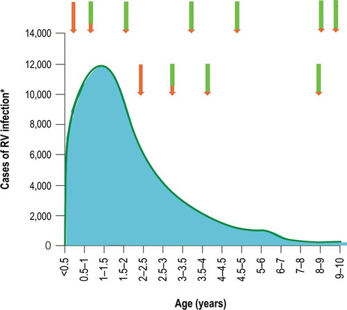 Figure 2. Distribution of cases of rotavirus infection incidence per age group (data collected from 16 European Union countries between 2006 and 2016 [Citation17])