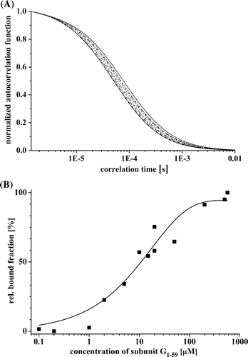 Figure 3.  G1–59/E18–38–binding studied by fluorescence correlation spectroscopy. (A) Normalized autocorrelation functions of Atto655 labeled peptide E18–38 by increasing the quantity of subunit G1–59. (B) Concentration-dependent binding of E18–38 to subunit G1–59. The binding constant was calculated by determining the relative bound fraction using a standard autocorrelation two diffusion coefficients normalized triplet model (FCS-LSM software, ConfoCor 3, Zeiss). Best fits yielding the binding constants are represented as fitted line by a non-linear, asymptotic curve fit (see the text).