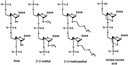 Figure 1.  Chemical modifications that improve the stability, biodistribution and delivery of antisense oligonucleotides to target miRNAs. 2′-O-methyl RNA contains a methyl group bound to the 2′ oxygen of the ribose; 2′-O-methoxyethyl RNA contains a methoxy group bound to the 2′ oxygen of the ribose; and locked nucleic acid introduces a 2′,4′ methylene bridge in the ribose to form a bicyclic nucleotide.