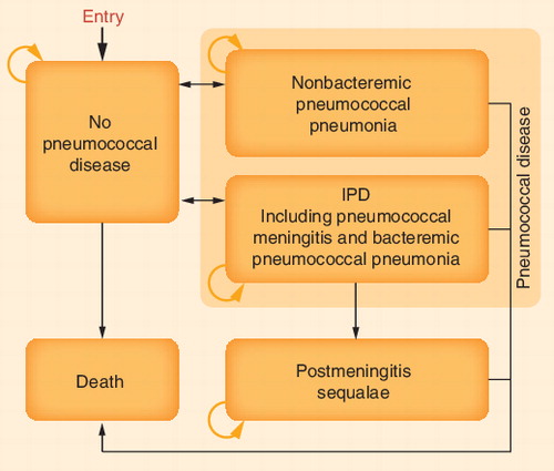 Figure 1. Model structure.IPD: Invasive pneumococcal disease.