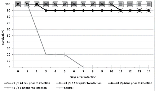 Figure 1. Survival of outbred white mice after parenteral (intraperitoneal - i/p) treatment with phagebiotic 1, 6, 12, and 24 h prior to a hypodermic infection with K. pneumoniae strain B2580. Animals from control group were not treated with phagebiotic.