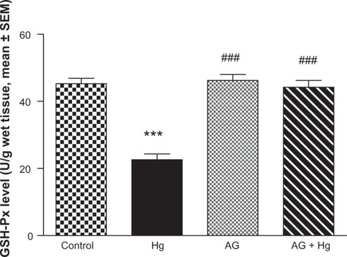 Figure 6 Effects of AGon changes in GSH-Px enzyme activities induced by Hg.