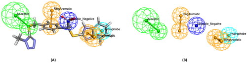 Figure 6. (A) A guided pharmacophore model generated from compound number 1 (B) The compound has been eliminated for clarification. The feature types in this pharmacophore are: HBA (green), NI (dark blue), HY (sky blue), and RA (brown).