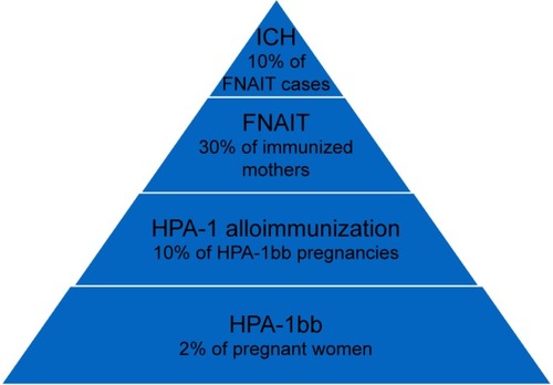 Figure 2 Baseline characteristics of HPA-1-induced fetal and neonatal alloimmune thrombocytopenia.
