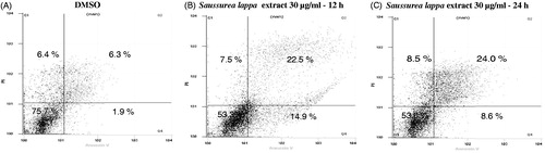Figure 4. Saussurea lappa extract induced apoptosis in KB cells. Cells were treated with 30 µg/ml of Saussurea lappa extract for 12 h and 24 h. The cells were stained with Annexin V-FITC and propidium iodine (PI). The apoptotic cells were then analyzed by fluorescence-activated cell sorting (FACS) analysis. This apoptotic data was determined by FACS analysis showing the percentages of lower right quadrant for early and upper right quadrant for late apoptotic cells.