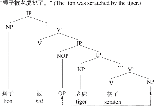 Figure 1. Derivation of long passive (adopted from Huang et al., Citation2009).