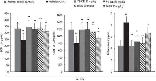Figure 3.  Effect of resin-fractionated YZ oligosaccharide ester and its component, 3,6′-disinapoyl sucrose, on the content of SOD, GSH-PX, MDA in liver of SAMP and SAMR mice. Values are presented as mean ± SEM of the results from eight mice. Significance was determined at **P <0.01 (*P <0.05, two way ANOVA) versus model group and ##P <0.01 (#P <0.05, two way ANOVA) versus normal control.