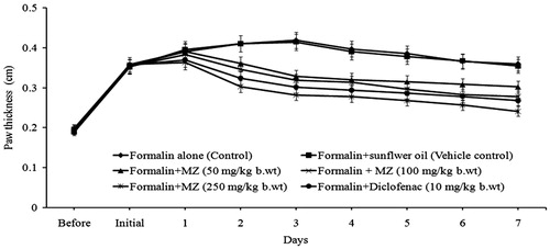 Figure 3. Effect of MZ on the formalin-induced paw edema formation.