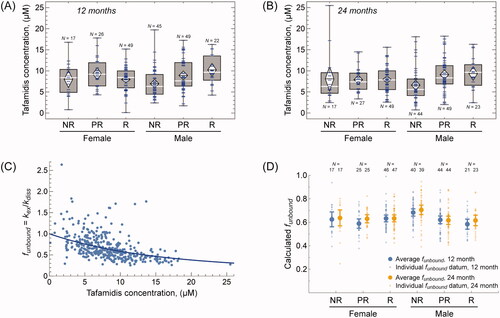 Figure 5. Tafamidis plasma concentrations stratified by response classification and patient sex and the effect of tafamidis on TTR stability. (A) Box plot of tafamidis plasma concentrations 12 months after initiation of therapy. (B) Box plot of tafamidis plasma concentrations 24 months after initiation of therapy. (C) A plot of funbound – where funbound is the ratio of TTR subunit exchange rate in each patient after 12 or 24 months of tafamidis treatment (kex) to that at baseline (kdiss)—vs. plasma tafamidis concentration at the 12- or 24-month time point (N = 388). The solid curve represents the best fit of a model for tafamidis binding to TTR in patient plasma in the presence of albumin, which competes with TTR for tafamidis binding. This curve was calculated using Kd1 = 25.8 ± 1.4 nM, the best-fit value of the dissociation constant for a single tafamidis molecule binding to TTR; Kd,Alb = 1.8 µM, the previously determined dissociation constant for tafamidis binding to albumin [Citation7]; and the overall post-treatment mean plasma concentrations of native TTR (223 µg mL−1, or 4.05 μM tetramer) and albumin (45 g L−1, or 680 μM) across all patients at the 12- and 24-month time points. (D) Calculated values of funbound (= 1 – fbound) for TTR in the plasma of tafamidis-treated ATTRV30M-PN patients based on the best fit value of Kd1, the known value of Kd,Alb, and the measured tafamidis, native TTR, and albumin concentrations in each patient’s plasma. Small, light blue and orange circles represent the values for individual patients at the 12- and 24-month time points, respectively. Larger, darker blue and orange circles represent the mean values for the patient subgroups at the 12- and 24-month time points, respectively. Error bars represent the standard error of the mean. Box plot features are as in Figure 2.