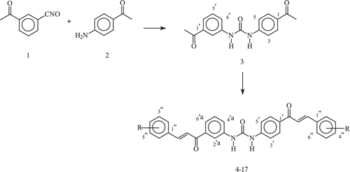 Scheme 1.  Synthesis of Bis-chalcone 4–17. 1) Me2CO, 3–7 h; 2) NaOH, MeOH, 3–5 h.; 3) R-PhCHO. R=; 4) 2″,4″-OMe; 5) 3″,4″,5″-OMe; 6) 2″,5″-OMe; 7) 3″,4″-Cl2; 8) 3″,4″-OMe; 9) 2″,4″,6″-OMe; 10) 2″,4″,5″-OMe; 11) H; 12) 4″-F; 13) 2″,3″-F; 14) 4″-Cl; 15) 4″-OMe; 16) 3″,4″-OCH2O; 17) 4″-Me.
