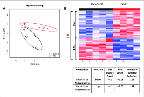 Figure 6. Depot specific gene expression profile in human facial vs abdominal adipocytes by Microarray analysis. (A) PCA analysis demonstrated a distinct gene expression pattern between 2 depots (Abdominal; n = 5, Facial; n = 4). (B) Heat-map illustration showing identified 283 probes differentially regulated between 2 depots. 126 probe sets were significantly down-regulated in facial fat as compared to abdominal fat. 157 probe sets were significantly up-regulated in facial fat cells as compared to abdominal fat cells.