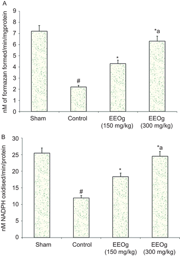 Figure 3.  A) Effect of ethanol extract of O. gratissimum (EEOg) on superoxide dismutase activity in rats subjected to focal cerebral ischemia and 24 h reperfusion injury. The data are expressed as mean ± SD; n = 7; ANOVA followed by Tukey’s post hoc multiple range test; *p <0.05 versus control; #p <0.05 versus sham; ap <0.05 versus 150 mg/kg dose of EEOg. B) Effect of EEOg on glutathione peroxidase (GPx) activity in rats subjected to focal cerebral ischemia and 24 h reperfusion injury. The data are expressed as mean ± SD; n = 7; ANOVA followed by Tukey’s post hoc multiple range test; *p <0.05 versus control; #p <0.05 versus sham; ap <0.05 versus 150 mg/kg dose of EEOg.