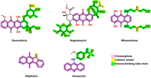 Figure 1. Some previously reported topoisomerase II inhibitors and DNA intercalators display their pharmacophoric characteristics.