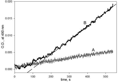 Figure 3.  The kinetic curves for checking the reversibility of the inhibition of phenoloxidase (PO) by phenylthiourea (PTU). PO (200 U/mL) was incubated with PTU (200 µM) for 5 min at 25°C. After that, 3-(3,4-dihydroxyphenyl)-l-alanine (DOPA) was added to a final concentration of either (A) 1 mM or (B) 9 mM. The final concentrations of PO and PTU were 20 U/mL and 20 µM, respectively. The long dash line is a linear regression fit of reaction rate data.
