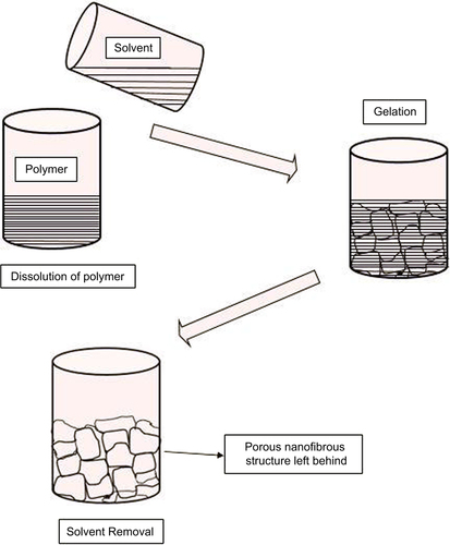 Figure 3. Nanofibers produced by phase separation process.