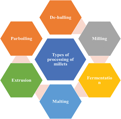 Figure 6. Steps involved in the processing of the millet.
