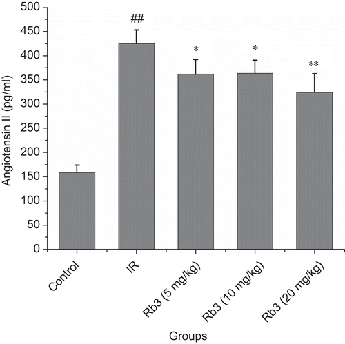 Figure 10.  Effects of ginsenoside Rb3 on angiotensin II level in myocardial ischemia-reperfusion injury in rats. Data were expressed as the mean ± SD (n = 8–10). Statistical significances were determined using one-way analysis of variance (ANOVA) followed by the least significant difference test. ##p < 0.01 compared with control group; *p < 0.05, **p < 0.01 compared with myocardial ischemia-reperfusion group.
