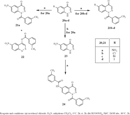 Scheme 4. Synthesis of cinnoline derivatives 21a–d, 22. and 24.