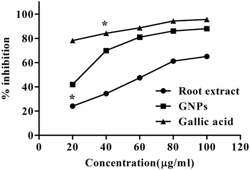 Figure 6. The DPPH scavenging assay of root extract, Au NPs, and Gallic acid.DPPH scavenging ability of Au NPs vs. root extract and ascorbic acid. Values are mean of independent determinations. Two-way ANOVA, significant different from Au NPs: “*” p < 0.001.