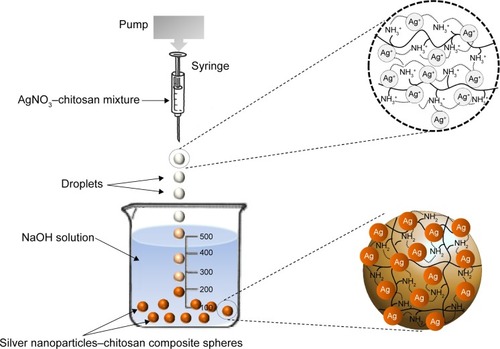 Figure 1 Schematic drawing of the silver nanoparticles–chitosan composite spheres synthesis.Notes: Droplets were pushed out from pin tip of a pump-driven syringe and then dropped into an NaOH solution, which was used for silver nanoparticles’ reduction and chitosan solidification. Silver nanoparticles–chitosan composite spheres were formed in 15 minutes. The distance between solidifying liquid surface and the tip was one centimeter. The diameter of the needle of the syringe was 8.73 mm.Abbreviations: AgNO3, silver nitrate; NaOH, sodium hydroxide.