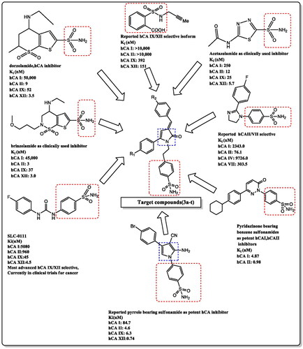 Figure 2. Structure of biologically active sulphonamides as carbonic anhydrase inhibitors and rationally designed template for target compounds.