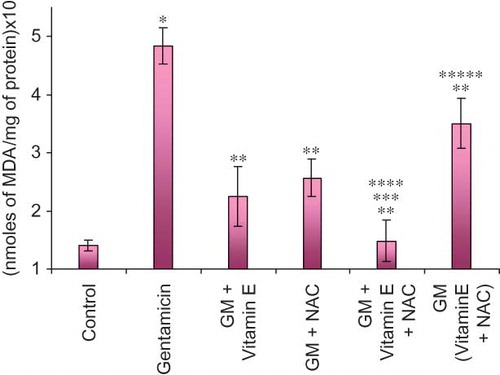 Figure 4. Effect of vitamin E and NAC on renal malondialdehyde (MDA) levels. Notes: Each bar represents the mean ± SEM of six observations. *Significantly different from control at p < 0.05, **significantly different from model control at p < 0.05, ***significantly different from vitamin E at p < 0.05, ****significantly different from NAC at p < 0.05, *****significantly different from vitamin E + NAC at p < 0.05.