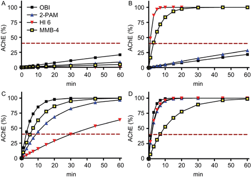 Figure 3.  Calculated acetylcholinesterase (AChE) activities of tabun- (A), cyclosarin- (B), paraoxon-ethyl- (C), and methamidophos-inhibited AChE (D) after reactivation by obidoxime (OBI, 10 µM), 2-PAM (100 µM), HI-6 (50 µM), and MMB-4 (100 µM). Based on experimental reactivation rate constantsCitation16, the AChE activities were calculated using the equation AChEt% = 100 × (1-exp−kobs × t).