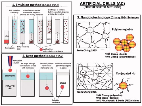 Figure 4. Upper left: Original (Chang 1957) emulsion method of preparing micro-dimension artificial cells. Since extended to physical or chemical methods for microscopic and nanodimension artificial cells. Lower left:. Original (Chang 1957) drop method for the preparation of large artificial cells. This has been now been extended and modified for cell/stem cell encapsulation. Upper right: Basic method (Chang 1964 Science) of bifunctional agents to assemble and crosslink hemoglobin (Hb) into PolyHb that has evolved into the preparation of soluble polyhemoglobin and other biotherapeutics. Lower right: Basic method of conjugating hemoglobin to polymer (Chang 1964 Science) that has evolved into the use of other polymers like the Pegylation (PEG-protein) Updated from Chang [Citation9,Citation10] with copyright permission.