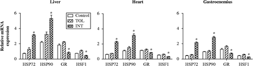 Figure 5.  HSP72, HSP90, GR, and HSF1 mRNA levels in liver, heart, and gastrocnemius muscle tissues of control mice and TOL and INT mice following heat stress. *P < 0.05, compared to control and TOL.