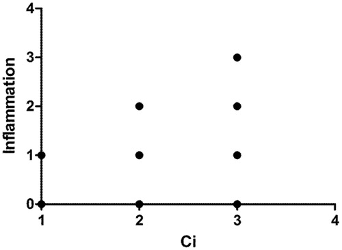 Figure 1. Spearman's association between inflammatory infiltrate and interstitial fibrosis (Ci, Banff'score) (r = 0.719; p < 0.0001).
