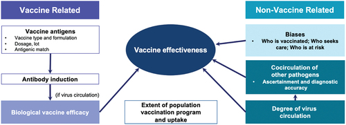 Figure 1. Factors influencing vaccine effectiveness [Citation48–50].