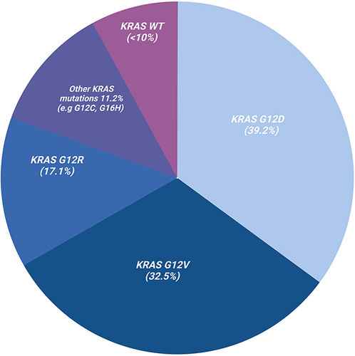 Figure 1 KRAS mutations in pancreatic adenocarcinoma (PDAC). Over 90% of PDAC are KRAS mutant with G12D being the most common (39.2%), followed by G12V (32.5%), G12R (17.1%), G16H (4.8%) as well as G12C (1.7%). Wild-type KRAS are less frequent and seen in < 10% of PDAC cases.