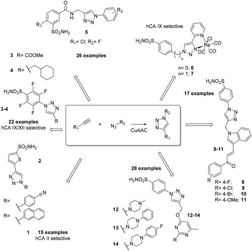 Figure 1. Structures of selected sulphonamide CAIs 1–14 developed by using the click-tailing strategy in the last 10 years.
