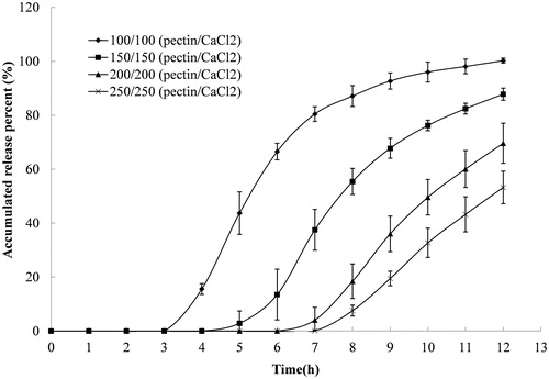 Figure 2. Release profile of indomethacin from compression-coated tablet prepared with different coating weights and a fixed pectin/calcium chloride ratio of 1/1. The hardness (crushing strength) of the tablets was around 7.0 kg. Release test was initially done in 900 mL of 0.1 M hydrochloride solution and was thereafter transferred at 2 h to 900 mL pH 6.8 PBS. Both the release media was thermostatically maintained at 37 ± 0.5 °C. Experiments were done in triplicate.