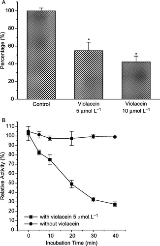 Figure 4 Effect of violacein on tartrate-resistant acid phosphatase (TRAP) extracted from human blood serum (A). The enzyme activity was also measured with and without pre-incubation with violacein (B).