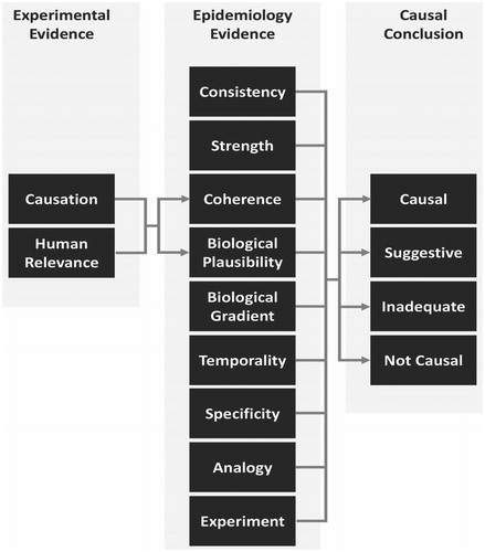 Figure 1. The experimental and epidemiology evidence are integrated together, using modified Bradford Hill aspects to aid in judgment of causality, with experimental evidence informing the aspects of coherence and biological plausibility. A four-tiered framework for causality is used to reach a causal conclusion. Adapted from Goodman et al. (Citation2020).
