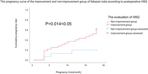 Figure 2. Pregnancy curves in the oviduct improvement and non-improvement groups. The improvement group showed significantly higher cumulative pregnancy rate compared with the non-improvement group (p < 0.05).