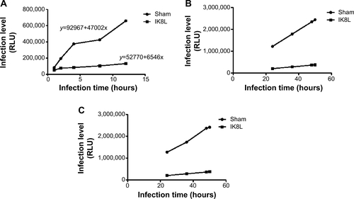 Figure S2 Prediction of infection with time using the mathematical model.Notes: (A) Data obtained from in vivo imaging were quantified using relative LUC units of the two groups in sham-treated and IK8L-treated mice at 1 hour, 2 hours, 4 hours, 8 hours, and 12 hours. Sham- and IK8L-treated mice were infected with 1×105 CFU/mouse of Kp Xen-39 by nasal cavity. Semiquantitatively, bioluminescence intensity was obtained using IVIS XRII software. Regression equation was calculated using SPSS software calculations. (B) The data showing predicted relative LUC units of two groups according to two regression equations in (A) at 24 hours, 36 hours, 48 hours, and 50 hours according to our regression equation. (C) The data showing actual LUC units of the two groups in sham-treated and IK8L-treated mice at 24 hours, 36 hours, 48 hours, and 50 hours. Sham- and IK8L-treated mice were infected with 1×105 CFU of Kp Xen-39 by nasal cavity.Abbreviations: CFU, colony-forming units; LUC, luminescence unit counts.
