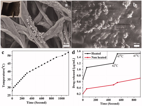 Figure 2. (a) Representative SEM image of MNFs (inset: Magnetic nanofibrous mat), (b) MNFs after AMF exposure for 15 min, (c) heating profile of MNFs (10 mg/ml) in PBS in the presence of AMF (3.6 kA/m, 236 kHz) and (d) drug release profile from the MNFs.